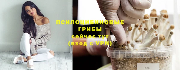 а пвп мука Майский