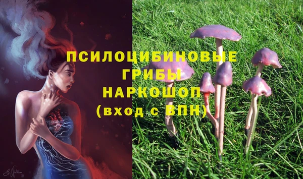 бошки Магадан
