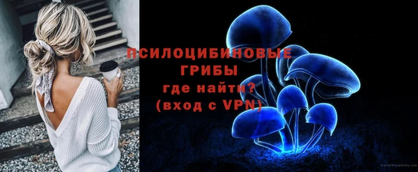 спайс Липки